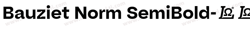 Bauziet Norm SemiBold字体转换